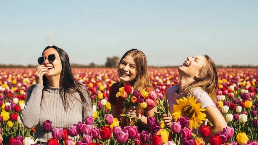 Compare Pics - High Quality - AIEnhancer