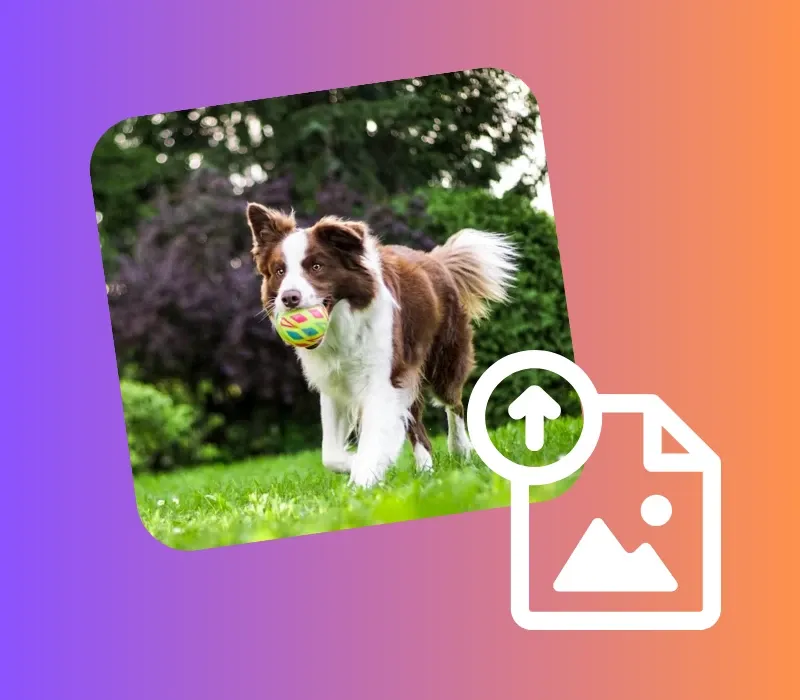 Hover Steps 1 - AIEnhancer