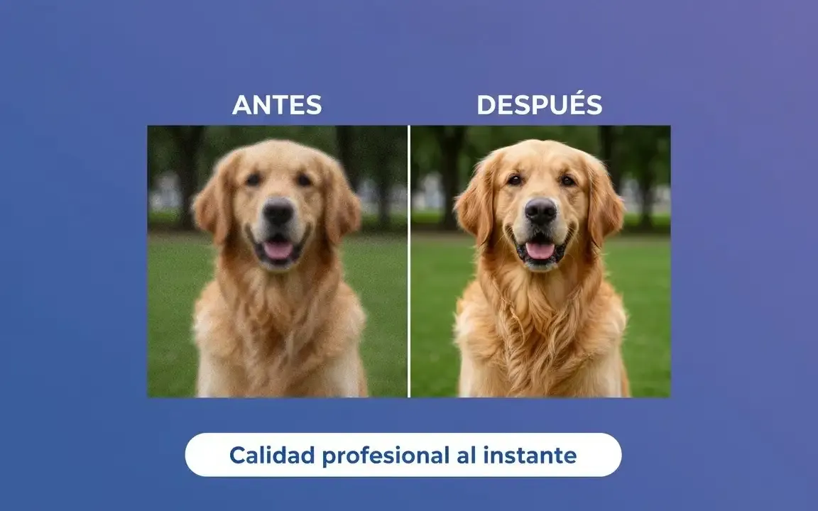 Por qué elegir AIEnhancer - AIEnhancer