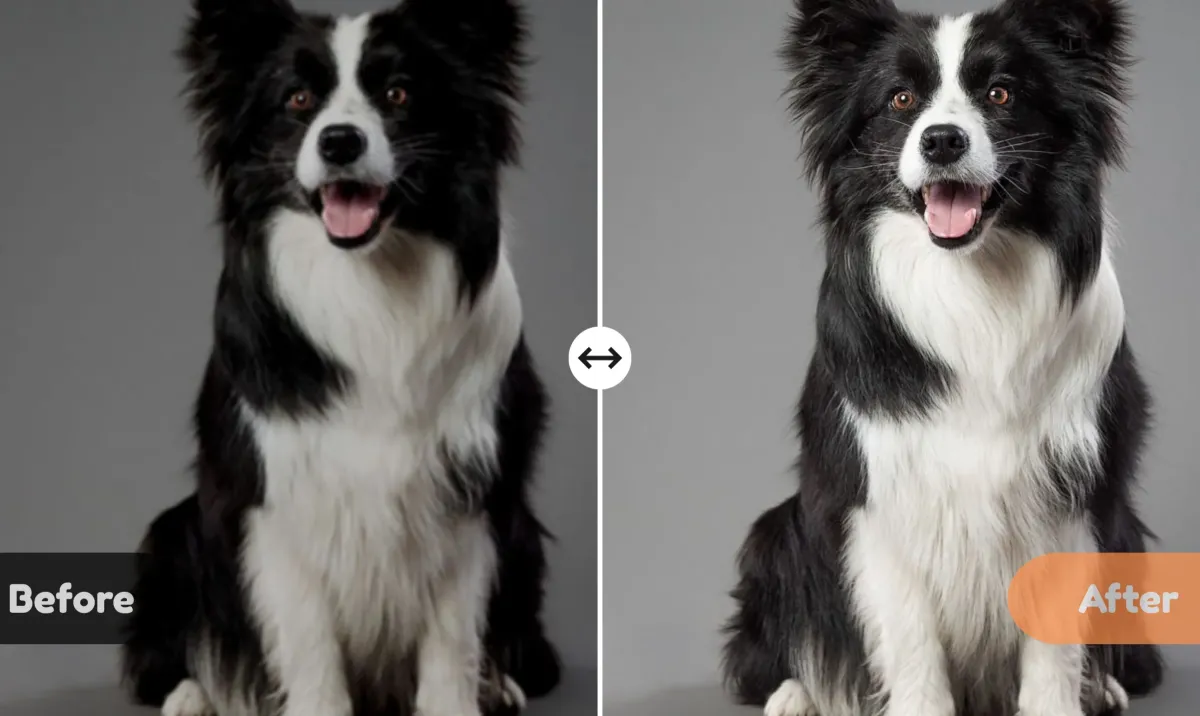 Beautify Dark & Noisy Photos - AIEnhancer