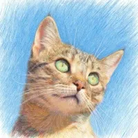 Example - AIEnhancer